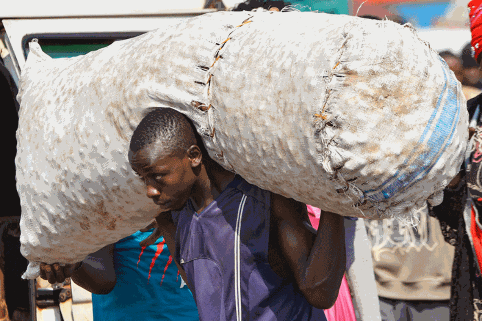 Employment and Labour Law